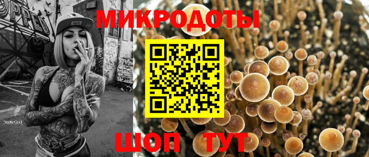 Псилоцибиновые грибы мицелий  Псилоцибиновые грибы Psilocybe  Вход с VPN  Ишим 